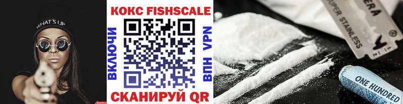 купить наркотики цена  Владикавказ  Cocaine Fish Scale 