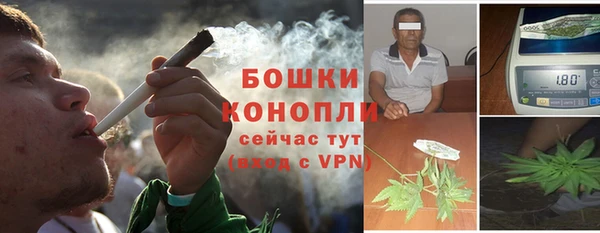 соль ск Няндома