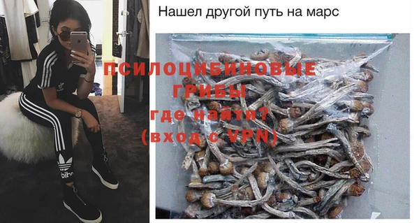соль ск Няндома