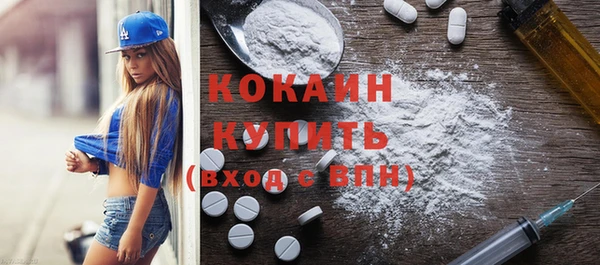 соль ск Няндома