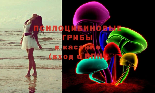 каннабис Новозыбков