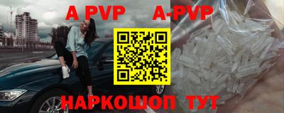 шишки Гай