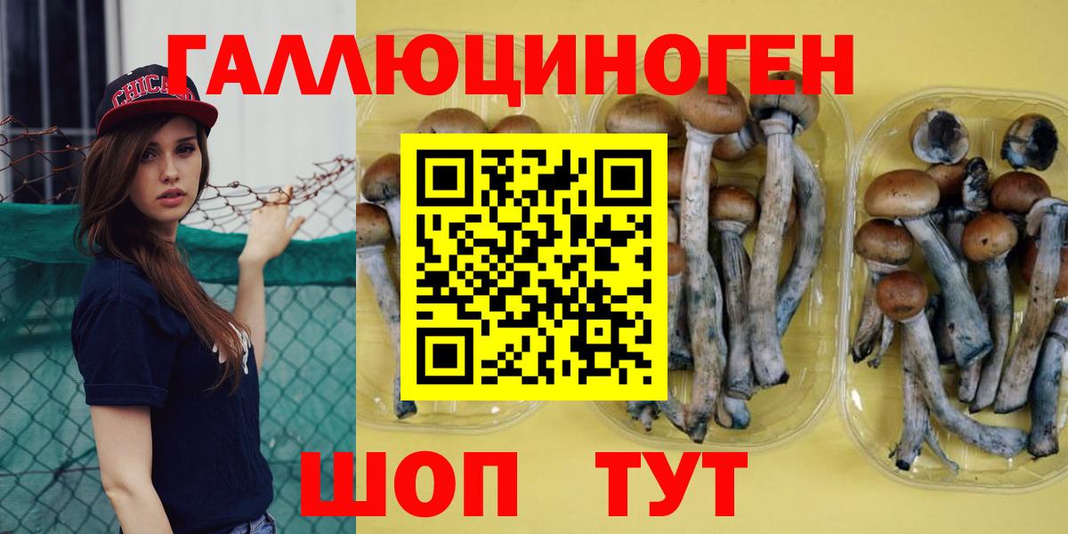 Галлюциногенные грибы Magic Shrooms  Вход с VPN  Владикавказ 