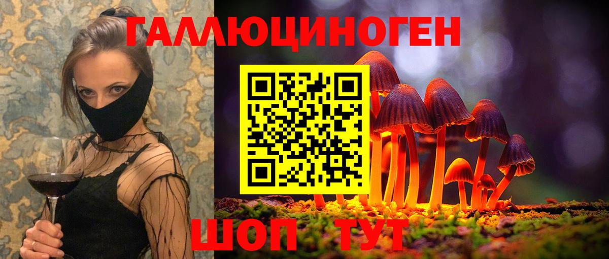 Галлюциногенные грибы Psilocybe  Псилоцибиновые грибы Magic Shrooms  Владикавказ 